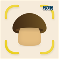 蘑菇识别-AI Mushroom IdentifierV1.