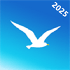 海鸥加速器2025年最新版