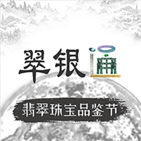 翠银通v1.9